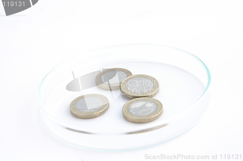 Image of Euro coins in petri dish