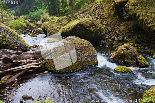 Image of Stream