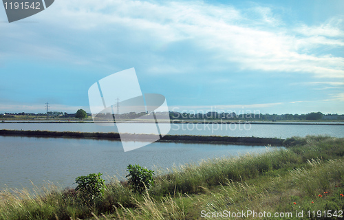 Image of Paddy field