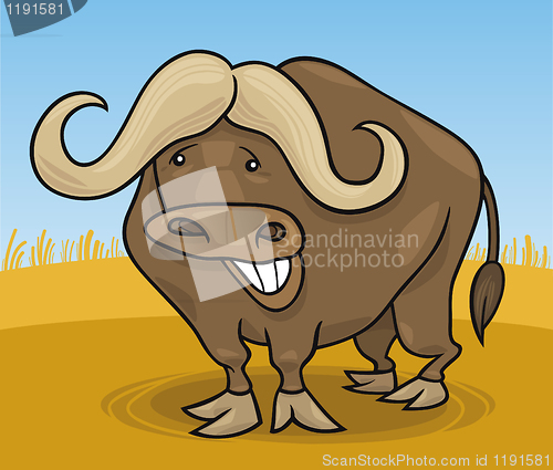 Image of african buffalo