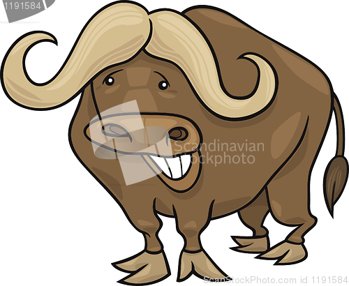 Image of african buffalo