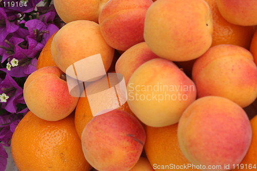 Image of Apricots,oranges and bougainvillea