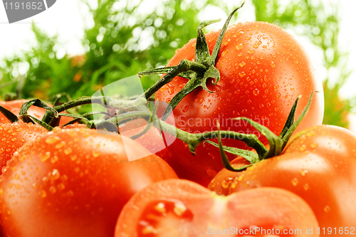 Image of Tomatoes