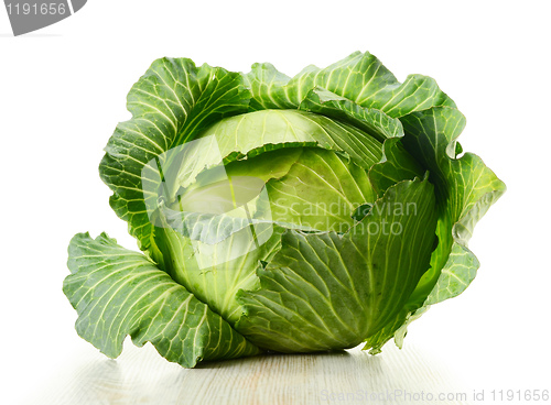 Image of Cabbage isolated on white