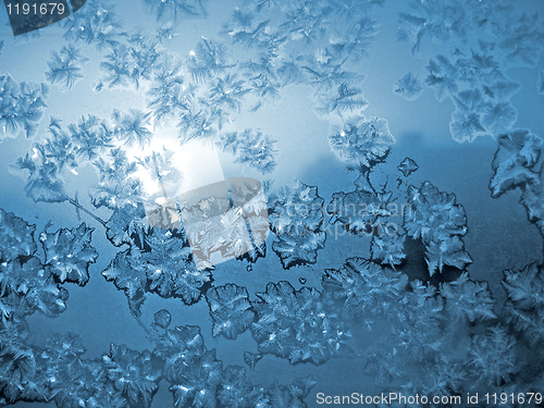 Image of frosty natural pattern