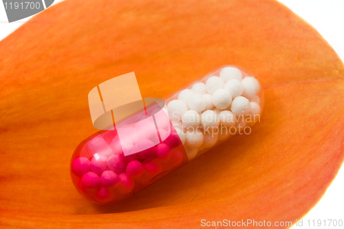 Image of macro a pill photo