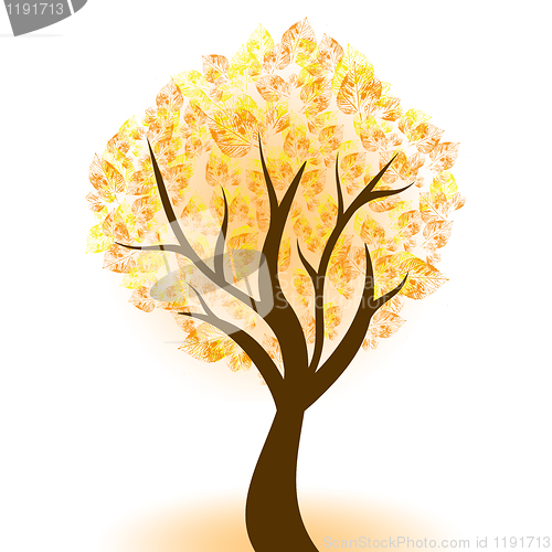 Image of Autumn tree