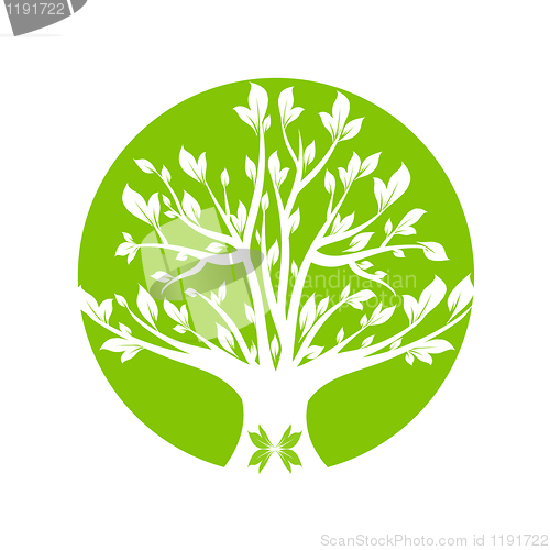 Image of Green tree