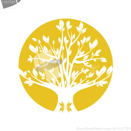 Image of Yellow tree