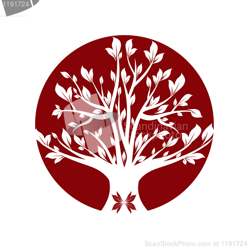 Image of Red tree