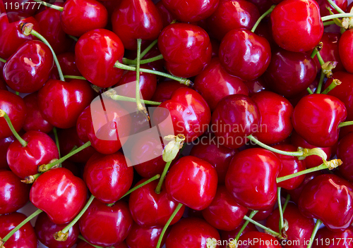 Image of Cherries can use as background 