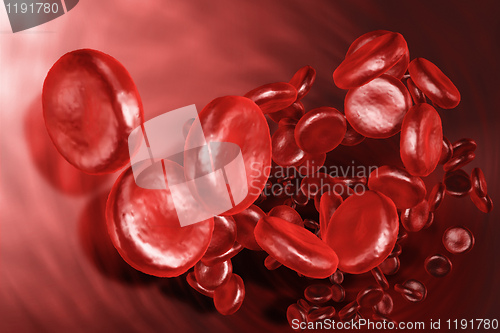 Image of Blood