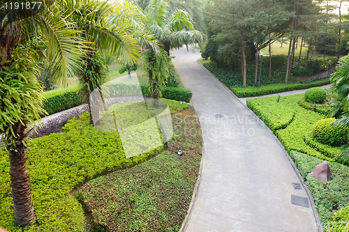 Image of Road in garden