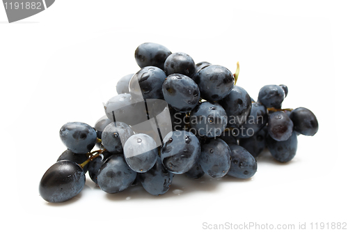 Image of cluster of grapes with water drop