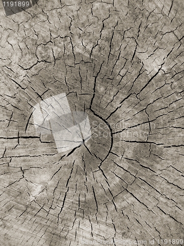 Image of old wood texture