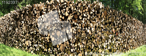 Image of firewood logs