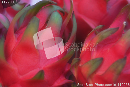 Image of Dragon fruits