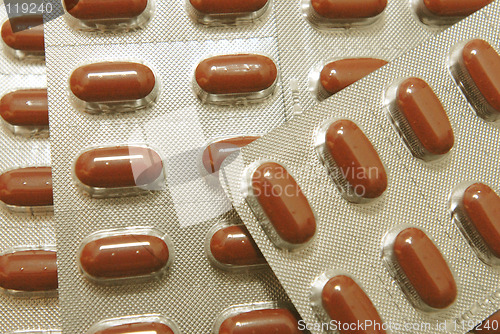 Image of The Brown Pill