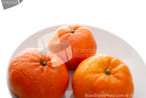 Image of Fresh juicy tangerines