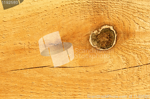 Image of Knot on the fresh new wooden board 