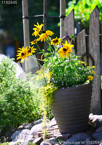 Image of Yellow Flowers