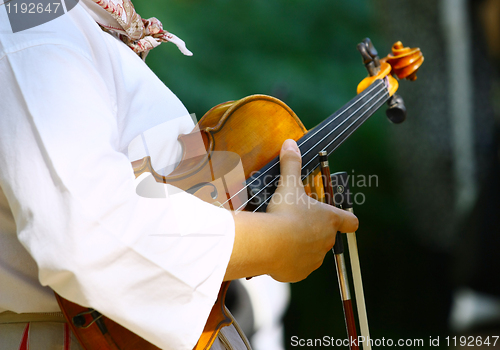 Image of Violin