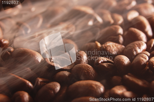 Image of coffee beans with steam