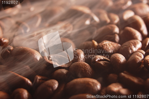 Image of coffee beans with steam