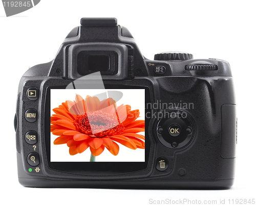 Image of dslr with summer flower