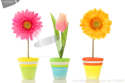Image of funny flowers