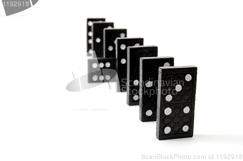 Image of individual domino