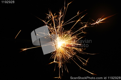 Image of holiday sparkler