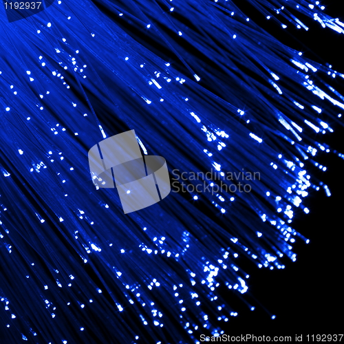 Image of fiber optic