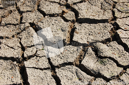 Image of dry soil