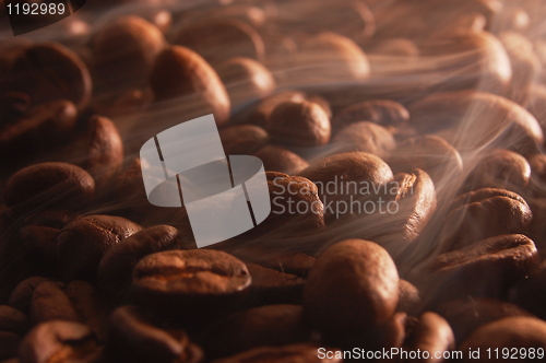 Image of coffee beans