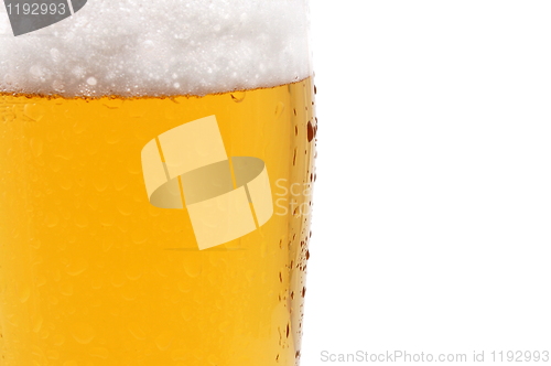 Image of glass of beer isolated on white background