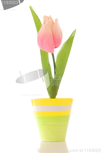 Image of flower in pot