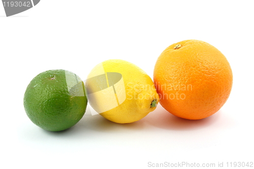 Image of lemon orange and citron fruit