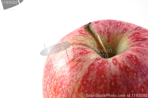 Image of Apple