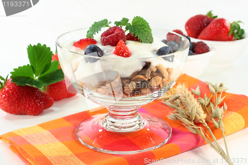 Image of Fruit Muesli