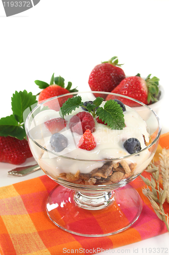 Image of Fruit Muesli