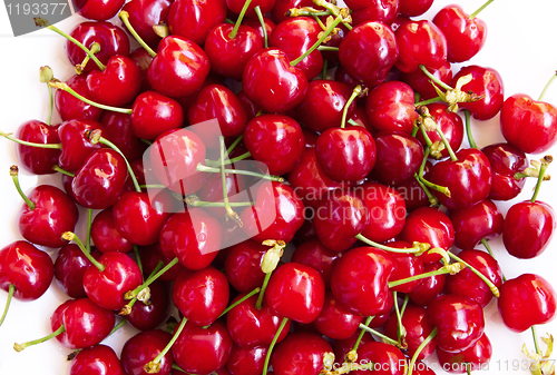 Image of Wet ripe red cherries 