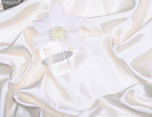 Image of White flower on smooth elegant white silk as wedding background 