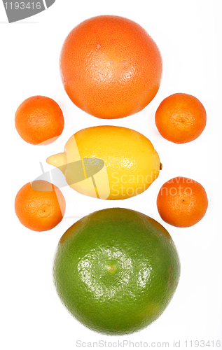 Image of Citrus fruits isolated on white 