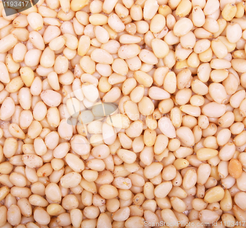 Image of Pine nuts as background 