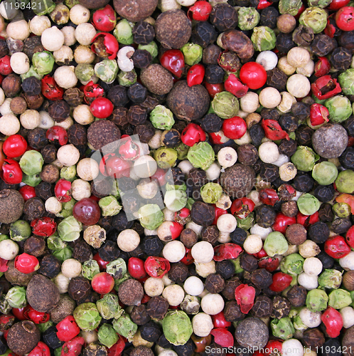 Image of Different kinds of pepper as spice background