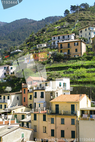 Image of Italy. Cinque Terre. Colorful houses of Riomaggiore village 