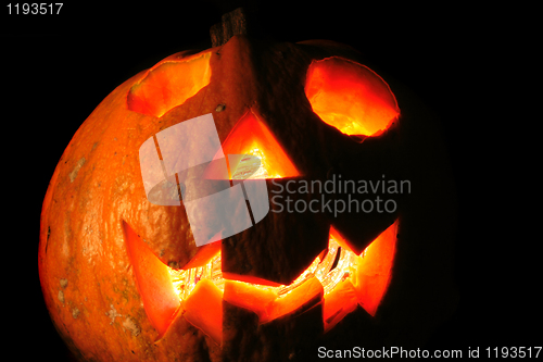 Image of halloween pumpkin in the dark night 