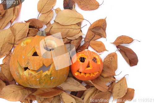 Image of halloween pumpkin