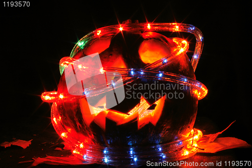 Image of halloween pumpkin in the dark night 